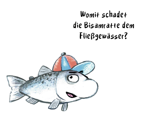 Tafel16_Lennard_Lachs_Bubble