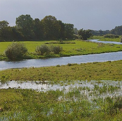 AlandFloodplain