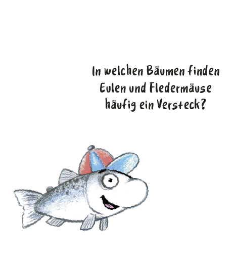 Tafel6_Lennard_Lachs_Bubble